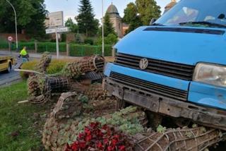 Ukrainiec zderzył się ze słoniami w Przeworsku