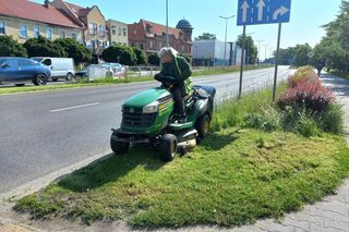 Trawniki w Lesznie wybujały. Koszą prawie codziennie [ZDJĘCIA]
