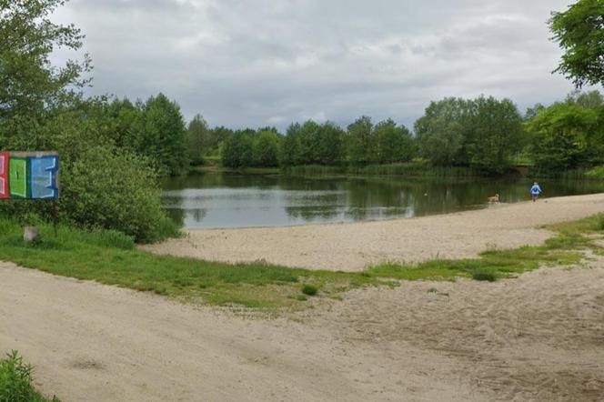 Kąpielisko we Wrocławiu zamknięte. W wodzie pojawiły się sinice 