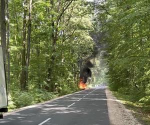 Dachował ,jego auto stanęło w ogniu. Nikt nie zdołał mu już pomóc