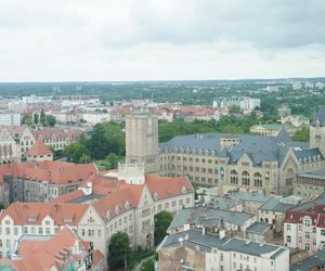 Otwarcie tarasu widokowego Collegium Altum 