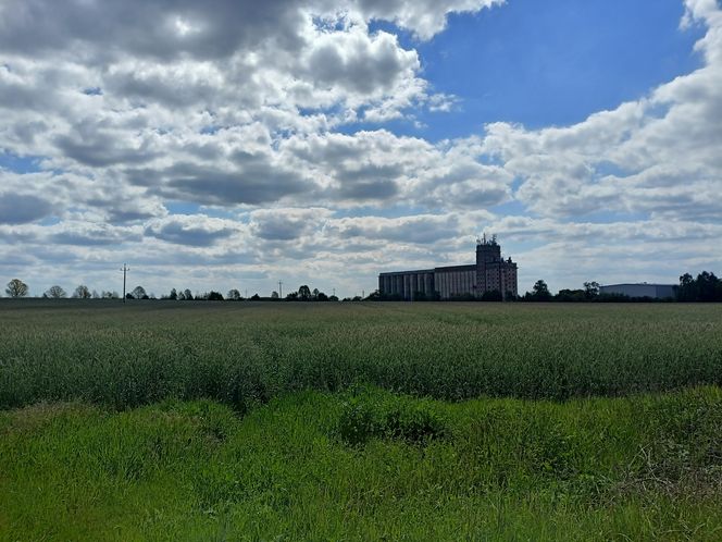 Rogowska kolej wąskotorowa. To perełka wśród zabytków techniki w Łódzkiem