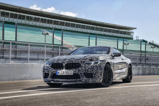 BMW M8