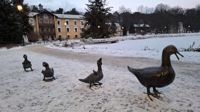 Nałęczów - Park Zdrojowy zimą