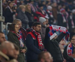 Górnik Zabrze - Warta Poznań