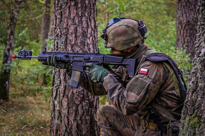 Powszechna Służba Państwowa. Nowa wizja budowania rezerw na rzecz bezpieczeństwa Polski