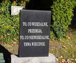 Cmentarz przy ul. Bluszczowej na Wildzie 2 tygodnie przed 1 listopada