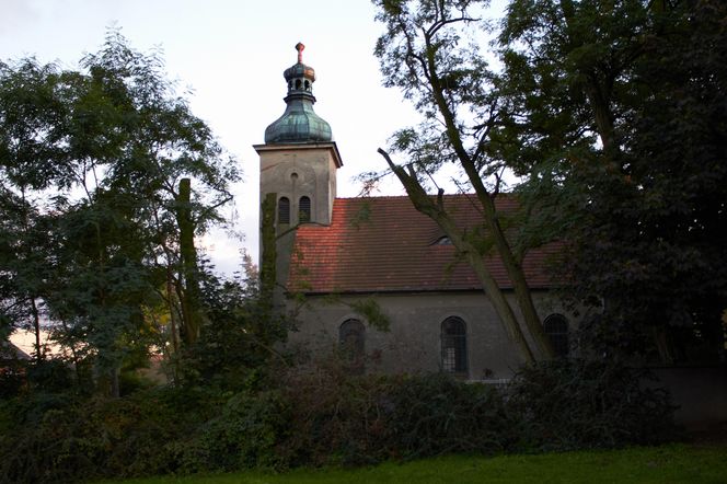 8. Żerków