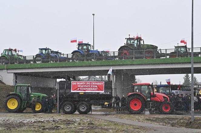 Mińsk Mazowiecki. Ogólnopolski protest rolników