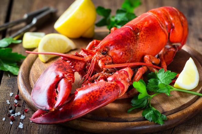 Homar - właściwości odżywcze. Jak jeść homara?
