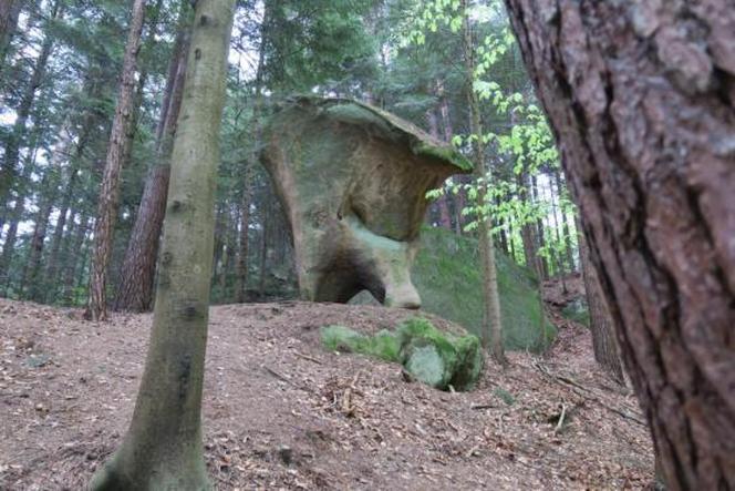 Te skały w lesie pod Wolą Komborską skrywają tajemnice. Są naprawdę nietypowe 