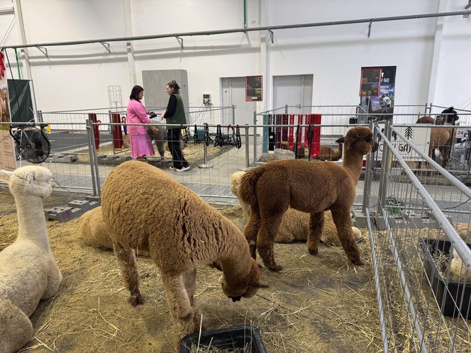 ZooPark w Lublinie. Dzień drugi