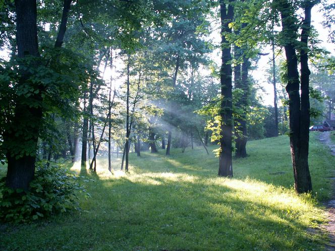 Park Zdrojowy Uzdrowisko Kraków Swoszowice