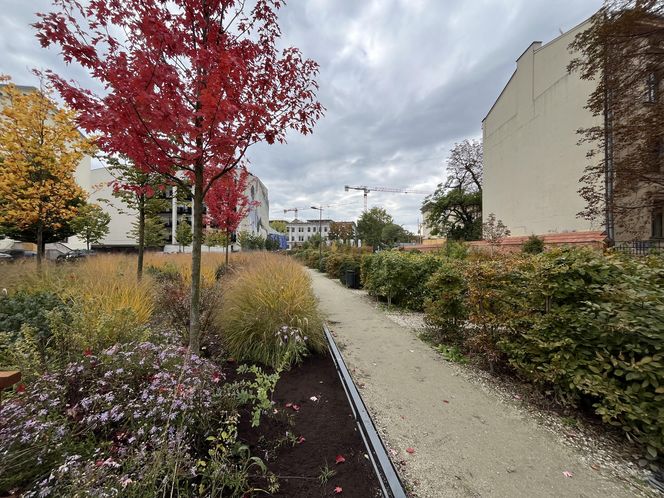 Park im. Wisławy Szymborskiej w Krakowie