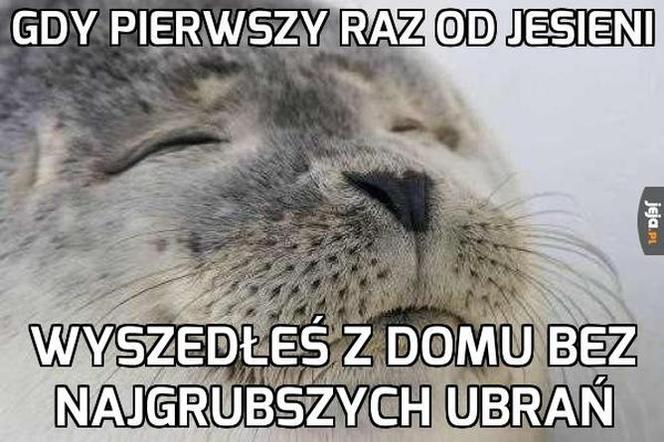 Przywołujemy wiosnę! Jedni topią Marzannę, a inni robią MEMY