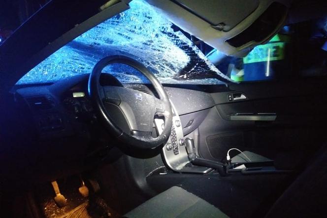 Wypadek na trasie Orzysz - Ełk: Rozpędzony łoś wskoczył na dach samochodu