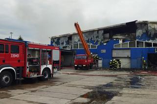 Potężny pożar niedaleko Lublina. Straty oszacowano na 12 mln zł