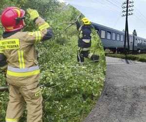 Nawałnica przewróciła drzewo na trakcję. Konieczna była ewakuacja pasażerów pociągu 