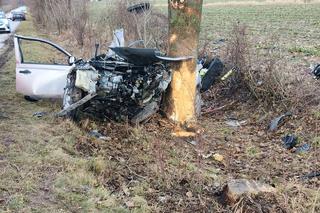 Tragedia w Lubelskiem. 19-latek zginął po uderzeniu samochodem w drzewo