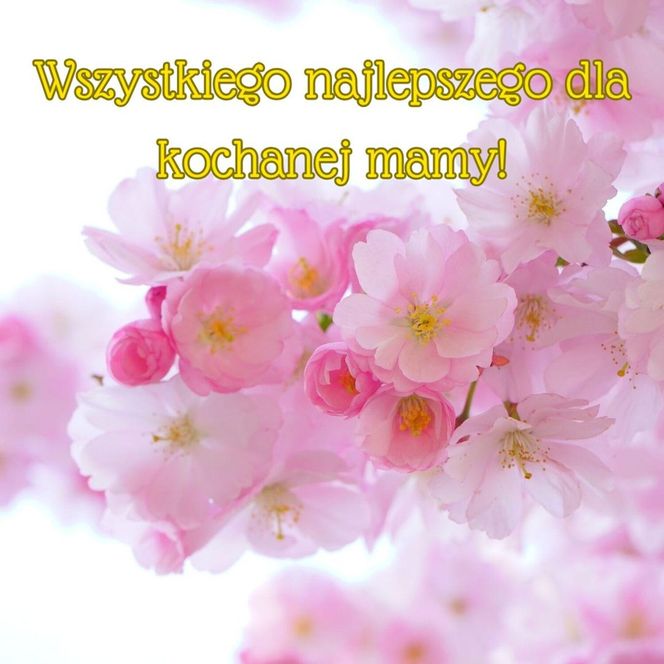 Dzień Matki