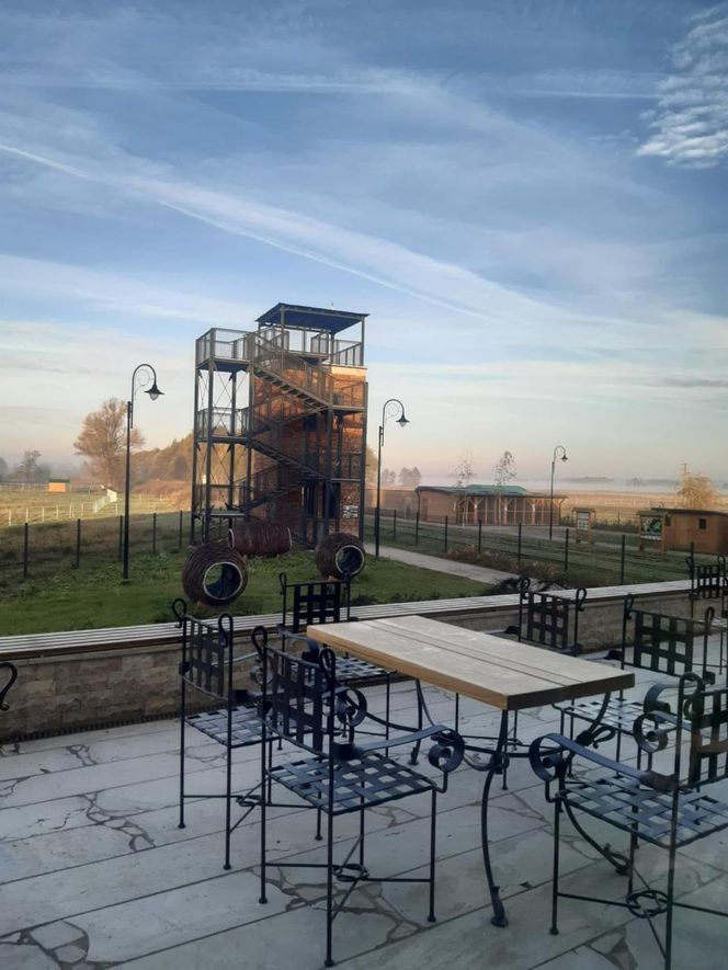 Ponidzie. Konik polski