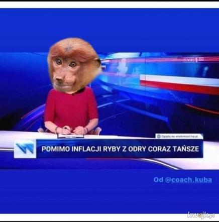 Zatruta Odra. Internauci komentują reakcje rządu [MEMY] 