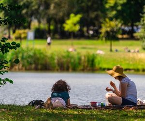 Obcy w Katowicach. Stanowią zagrożenie dla natury