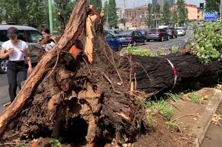 Włochy. Śmiertelna ofiara burz na północy, kilku rannych