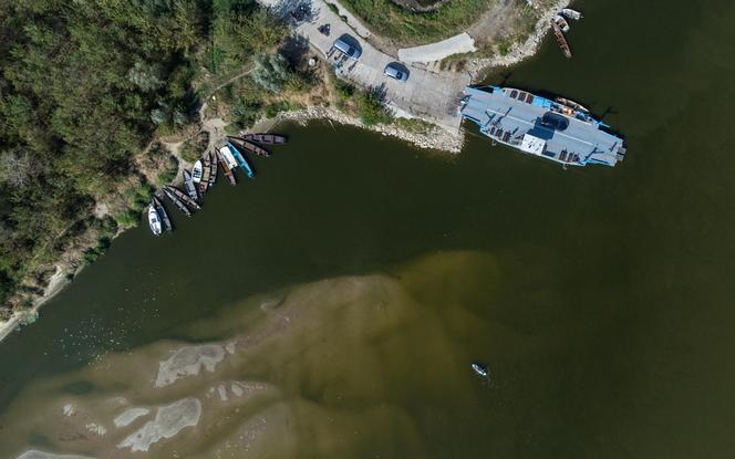 Rekordowo niski poziom Wisły w Kazimierzu Dolnym. Zobacz