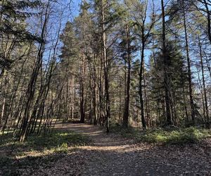 Podkarpackie Prządki - niezwykłe miejsce na spacer 