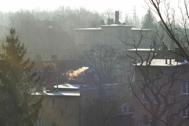 Tak zmiany klimatyczne wpływają na zdrowie Polaków. Nowy raport otwiera oczy