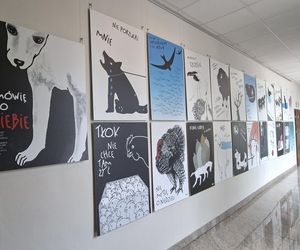 Ekspozycja „Mówię do Ciebie” – plakaty Danuty Żukowskiej w Bibliotece Pedagogicznej w Siedlcach