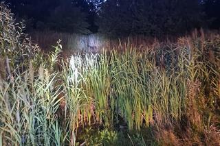 Wyciągali konia z bagien