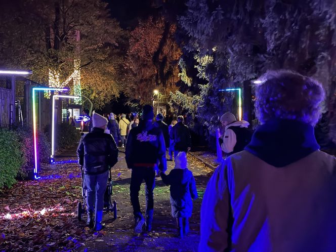 Garden of Lights we Wrocławiu