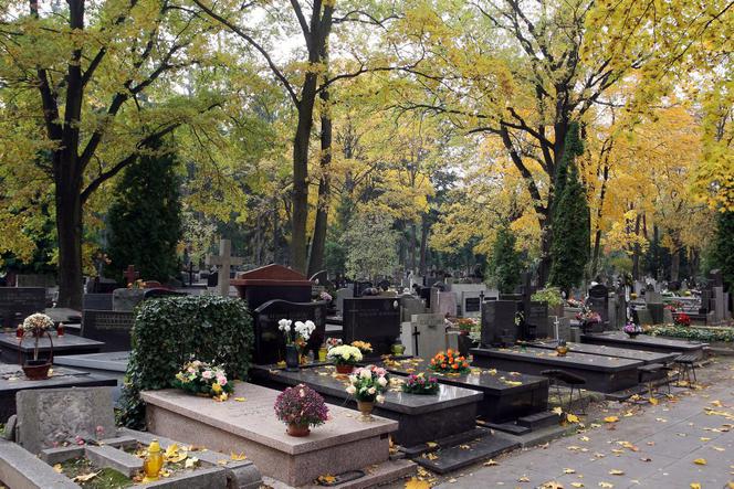 1 listopada Święto Wszystkich świętych cmentarz światła znicze jesień groby