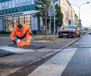 Nowe znaki na ulicach w Olsztynie. Świecą po zmroku. Gdzie się pojawiły? [ZDJĘCIA]