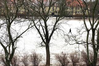 Śnieżyca we Wrocławiu i okolicach. Fatalne warunki na drogach 