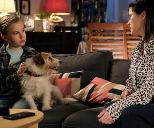 M jak miłość, odcinek 1786: Misiek wpadnie w kolejne tarapaty! A potem wydarzy się najgorsze - ZDJĘCIA