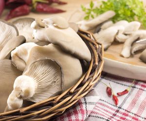 Boczniaki: przepis na sałatkę lunchową z boczniakami