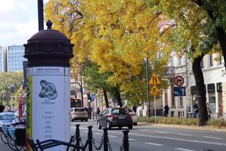 Nowa pora roku już jest w mieście. Lublin przybrał już jesienne barwy. Zobaczcie!