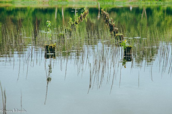 Czarniecka Góra - klimatyczna wieś w Świętokrzyskiem