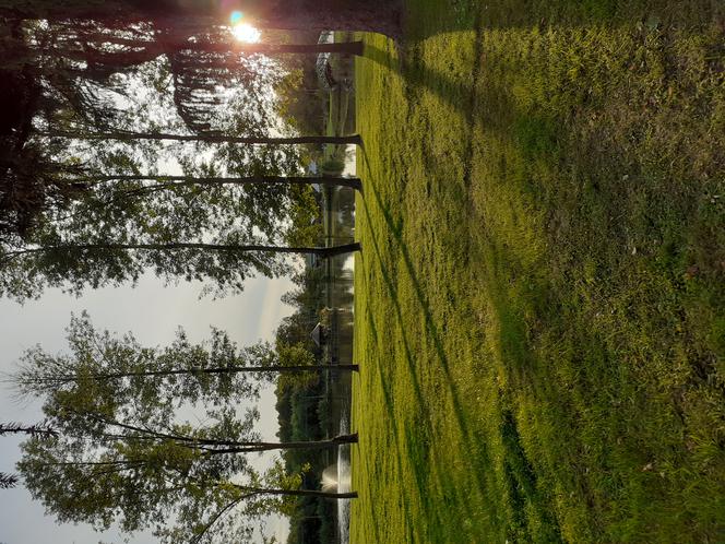 Wycieczka krajoznawcza Muzeum Regionalnego w Siedlcach śladem upamiętnień wojny polsko-bolszewickiej z 1920 roku