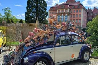 Zamek Książ. Festiwal kwiatów 2024