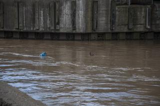 Nie tylko wędkarz... po deszczowym jeziorze pływały też kaczki