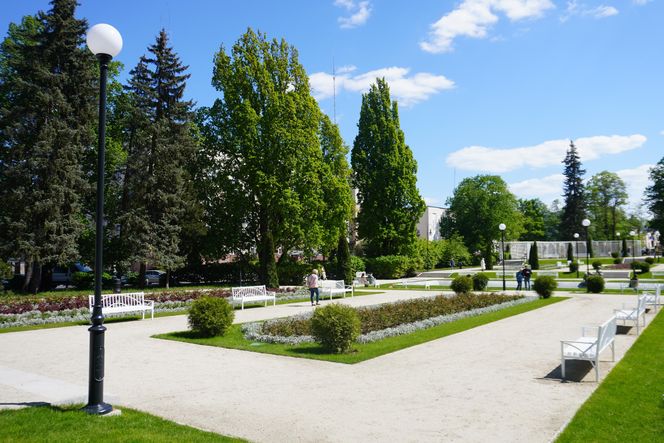 Różanka w Parku Planty po remoncie