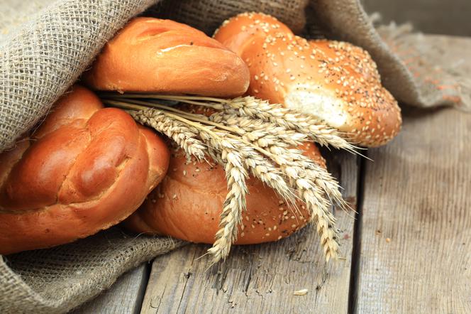 Jakie są rodzaje chleba? Chleb i pieczywo na świecie: od pity do tortilli
