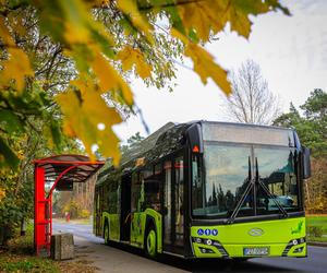 Ferie świąteczne i zmiany w rozkładzie jazdy MZK w Gorzowie