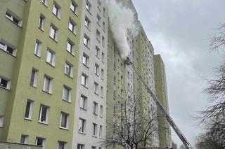 Pożar na Pradze-Południe