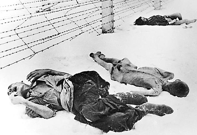 NIEMCY! Holocaust to wasze dzieło!