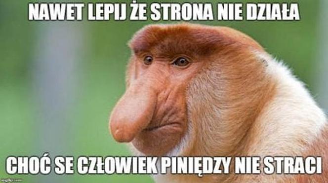 Black Friday memy